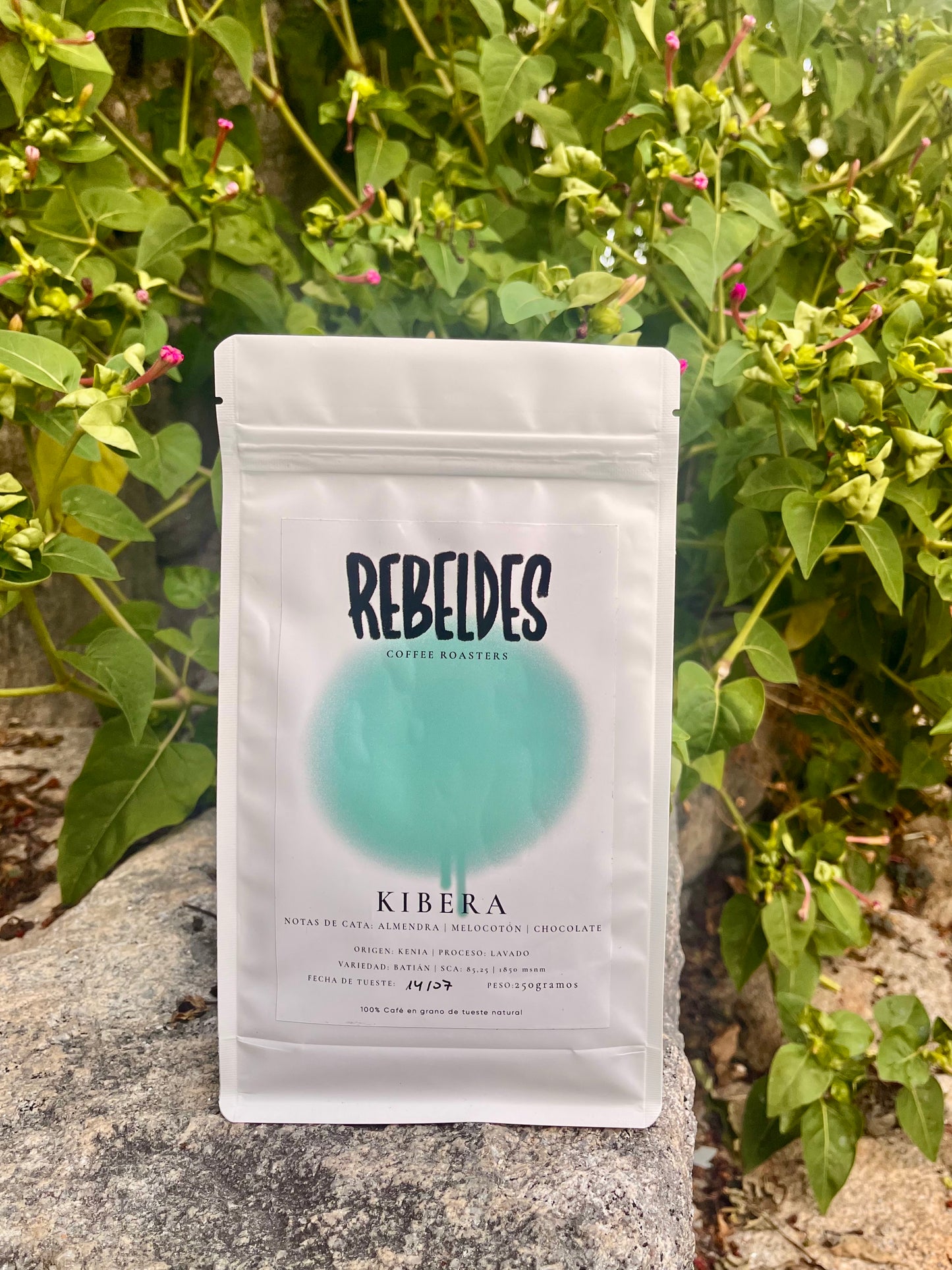 Café Kenia Kibera lavado - Rebeldes Coffee