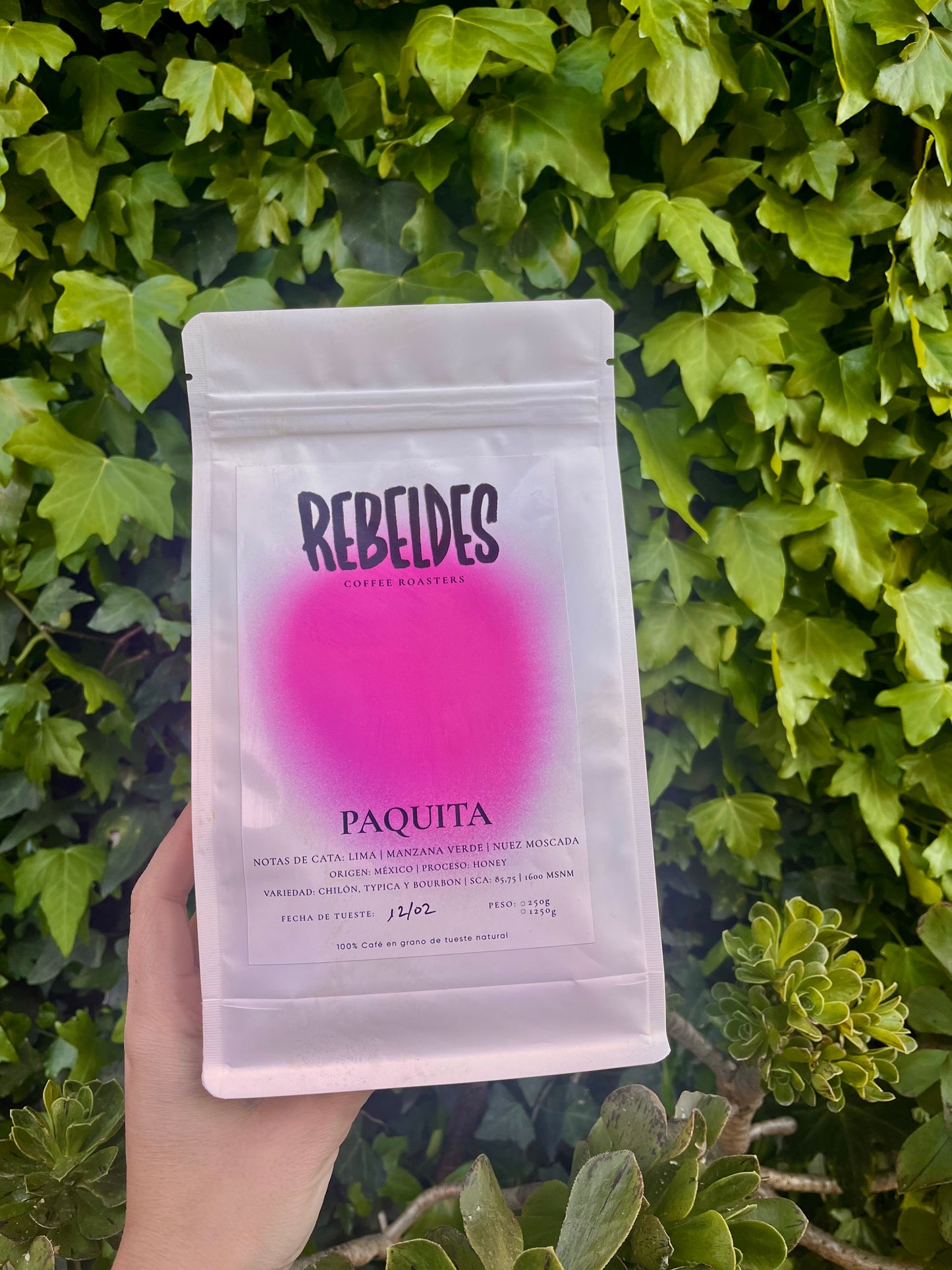 Paquita México honey - Rebeldes Coffee