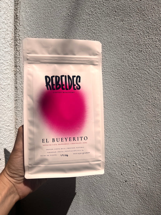 El Bueyerito Costa Rica lavado - Rebeldes Coffee