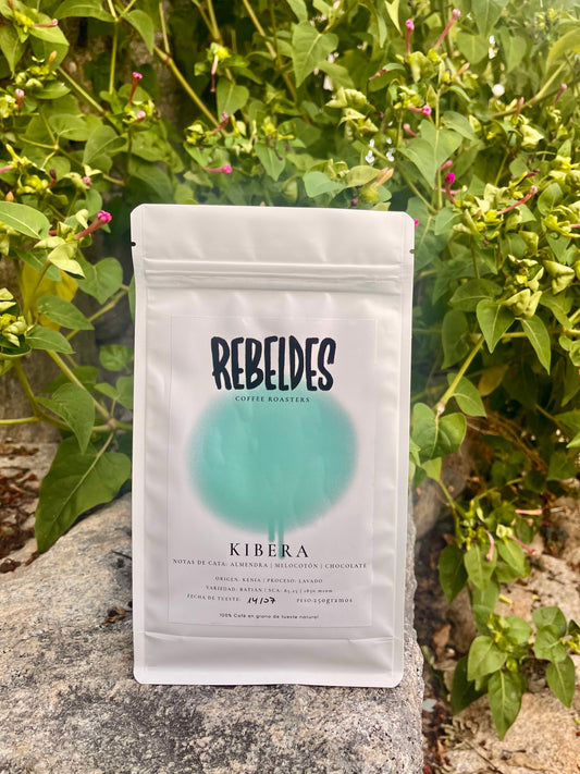 Café Kenia Kibera lavado - Rebeldes Coffee