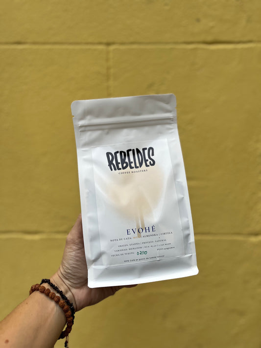 Café Evohé Etiopía natural - Rebeldes Coffee