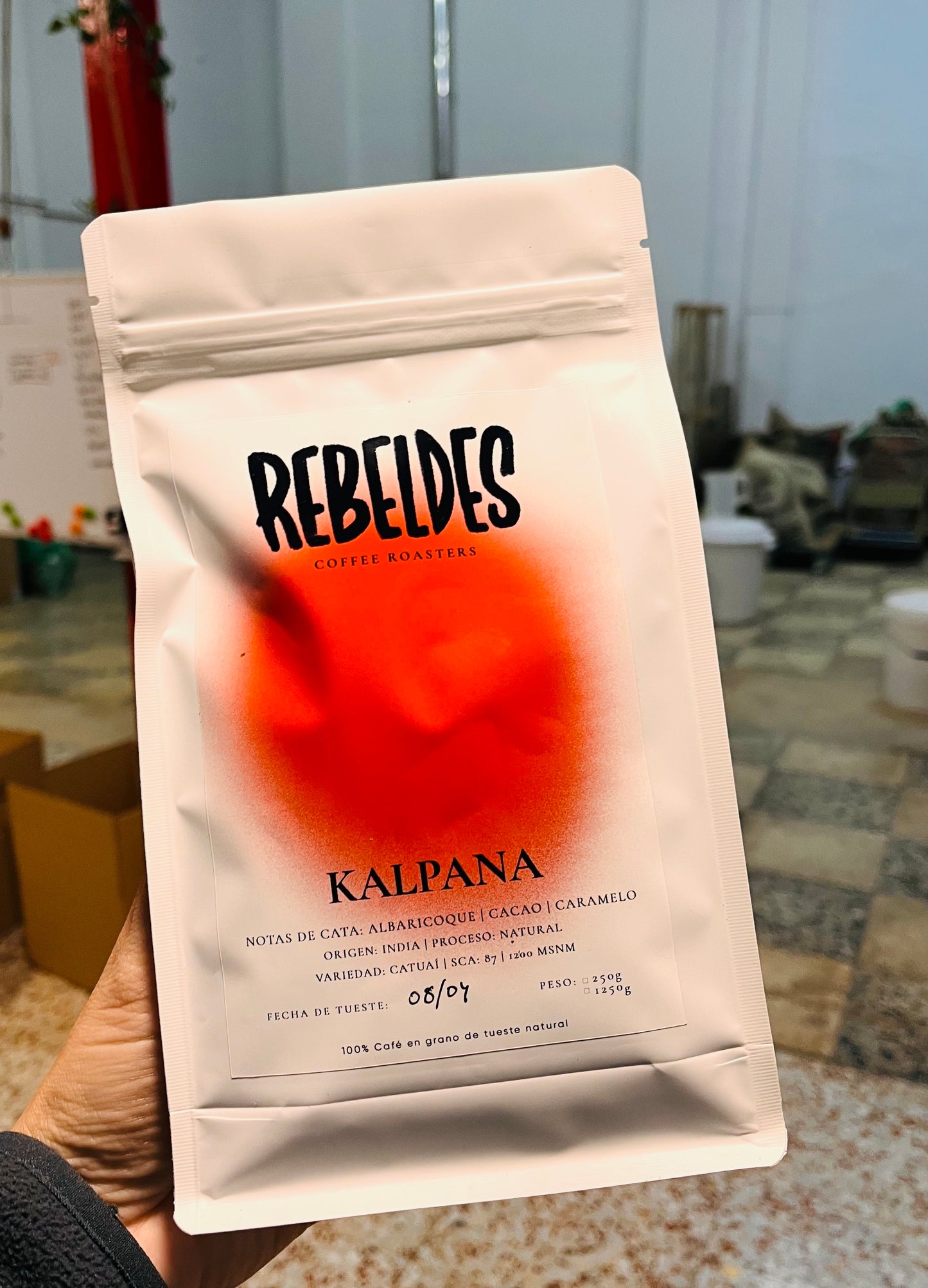 Café Kalpana India natural - Rebeldes Coffee